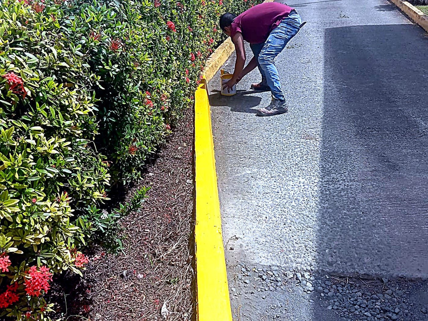 Pintura de bordillo perimetral en zona ajardinada